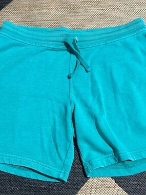 Chubbies Teal Casual Drawstring Shorts